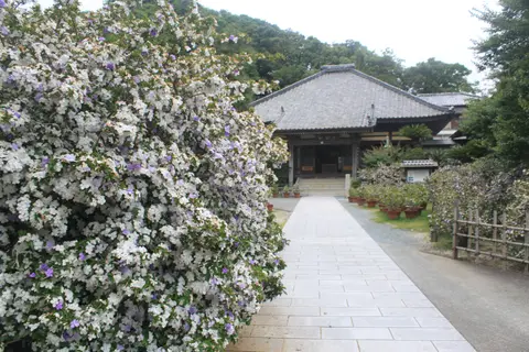 了仙寺