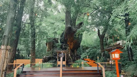 來宮神社