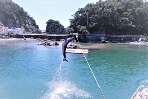 下田海中水族館
