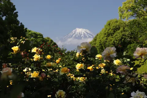 広見公園