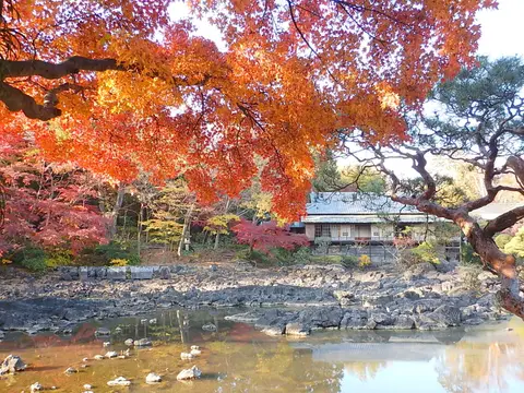 三島市立公園 楽寿園