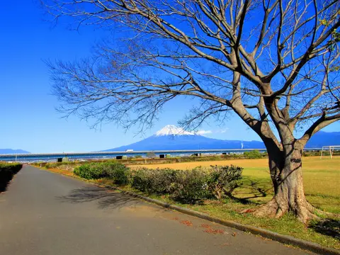 富士川緑地