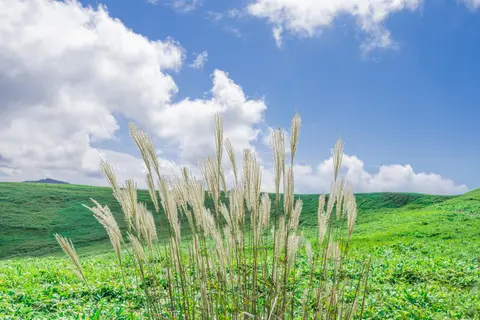 蓼科高原
