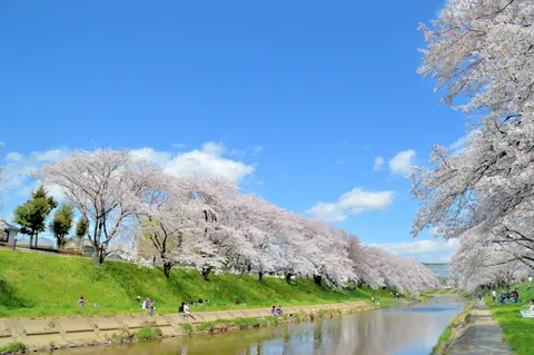 新境川堤