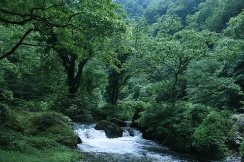 荒俣峡