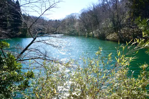 石川県森林公園