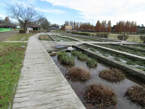 木場潟公園