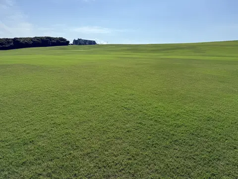 芝政ワールド