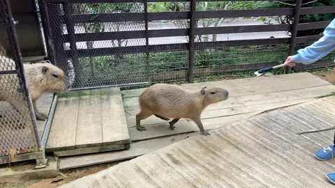 ネオパークオキナワ