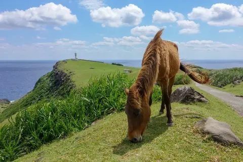 与那国島