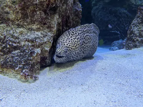 イオンモール沖縄ライカム
