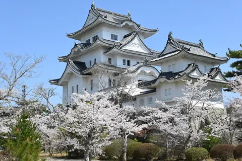 伊賀上野城