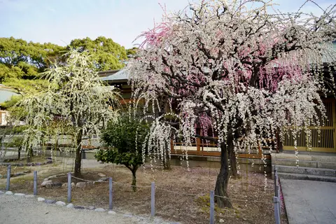 結城神社