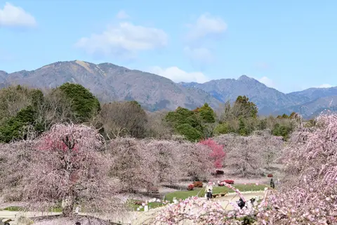 鈴鹿の森庭園