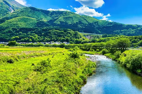 伊吹山
