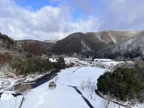 道の駅 スプリングスひよし