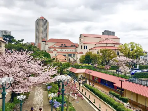 花のみち