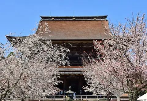 金峯山寺