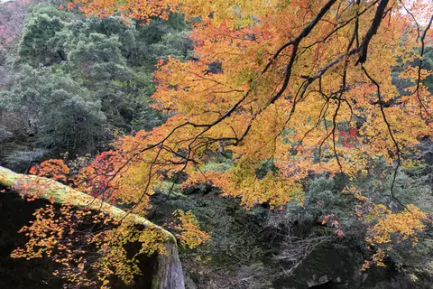 鬼の舌震