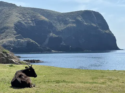 国賀海岸