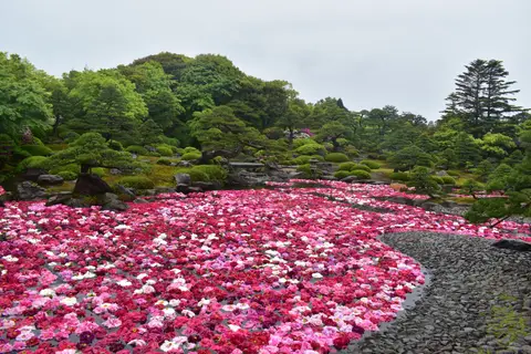 大根島