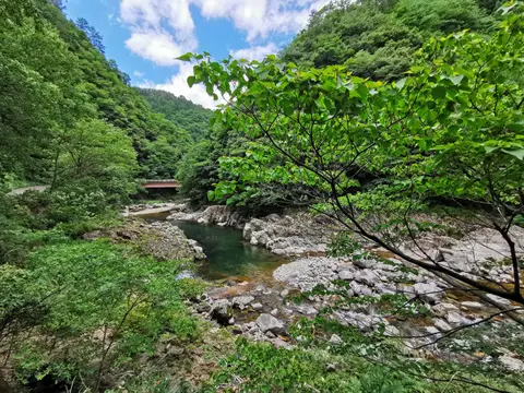 匹見峡