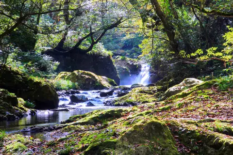 八重滝