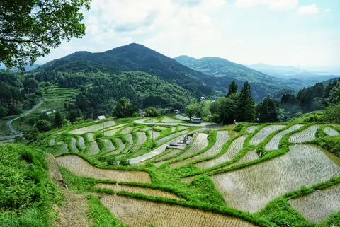 室谷の棚田