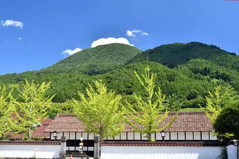 青野山