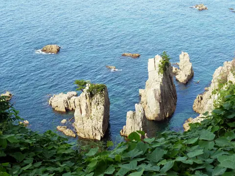飯浦海岸
