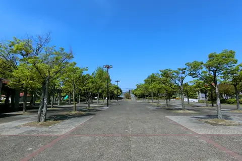 玉島の森