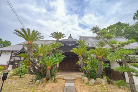 本蓮寺