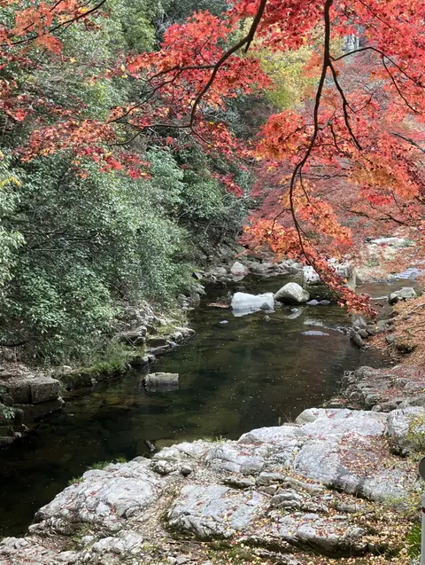 名勝豪渓