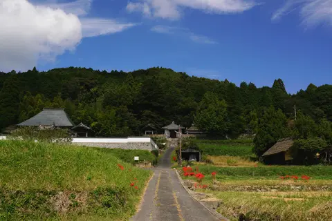 照鏡山八塔寺