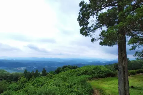 高谷山 霧の海展望台