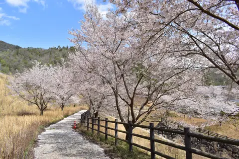 世羅甲山ふれあいの里