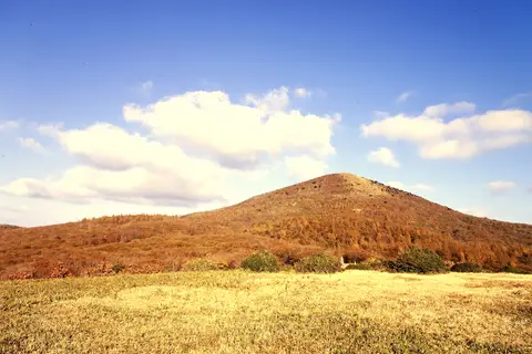 道後山
