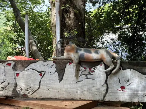 猫の細道