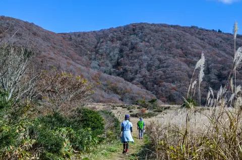 比婆山