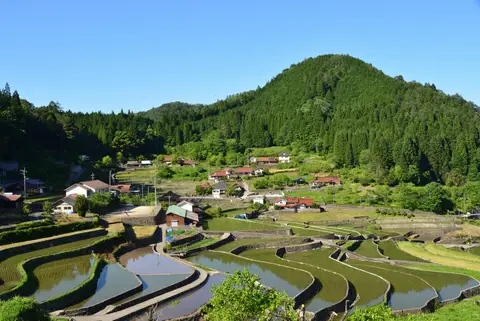 井仁の棚田