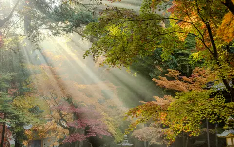 今高野山