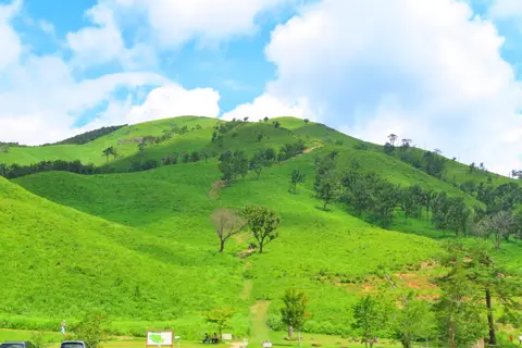 深入山