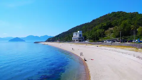 入鹿海水浴場