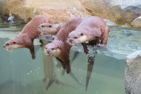 周南市徳山動物園