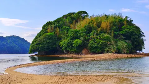 真宮島