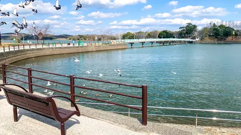 ときわ公園