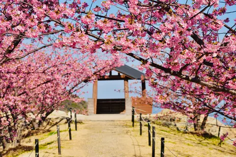 城山歴史公園