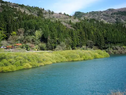 向道湖