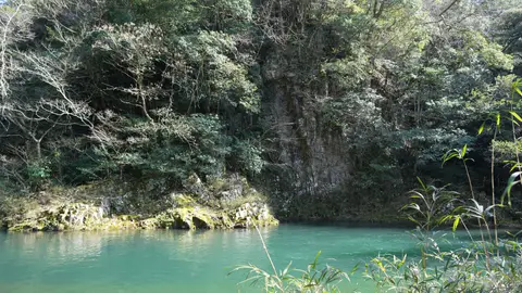 佐波川関水