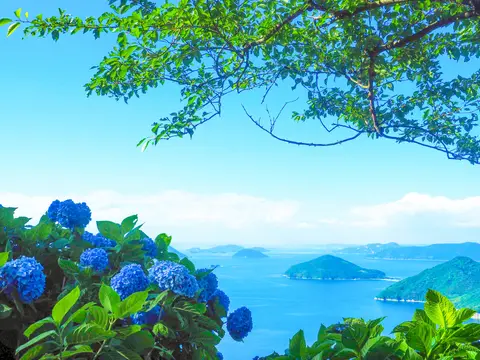 紫雲出山